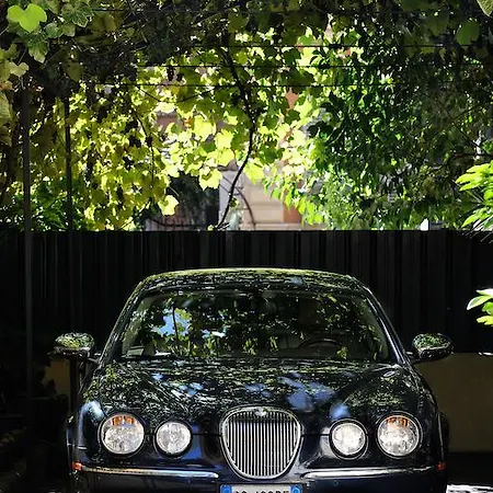 酒店 法恩斯酒店 4*