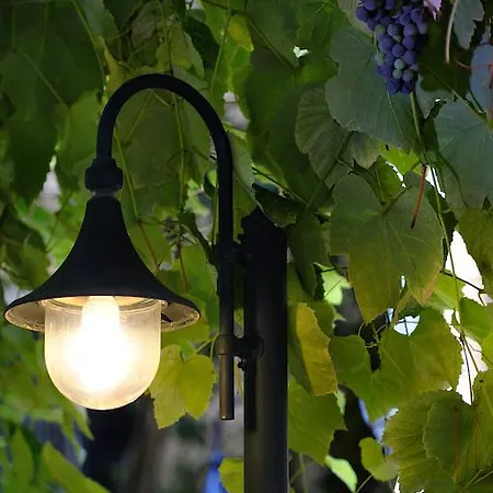 酒店 法恩斯酒店 罗马